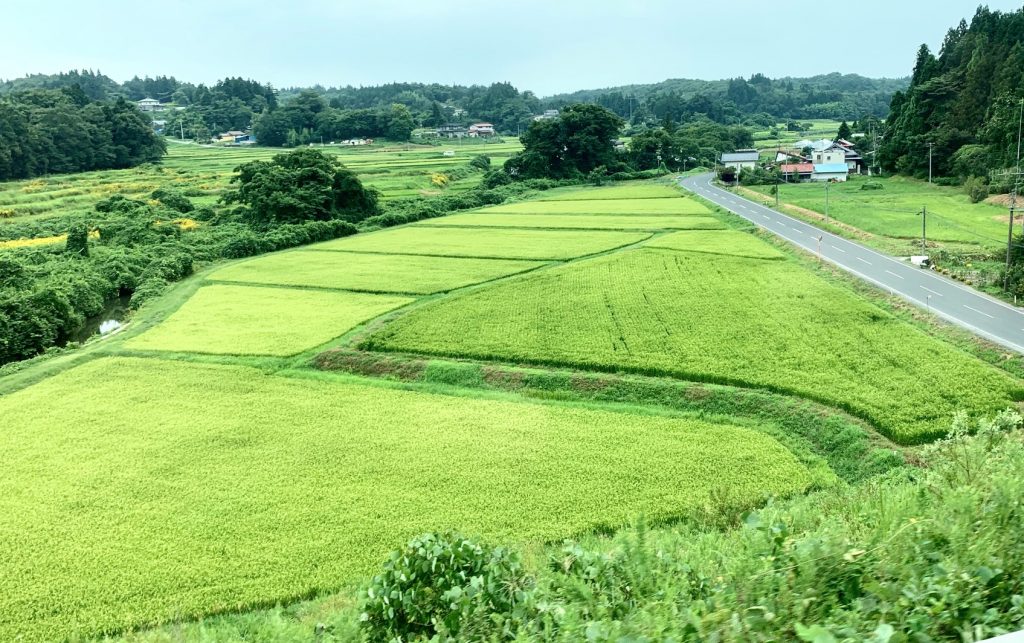 A lush green farm in central Japan. (Arab News)