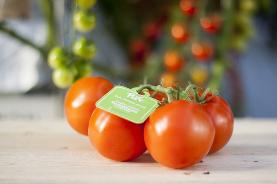 Sky Kurtz says flavor is key with his produce. (Pure Harvest)