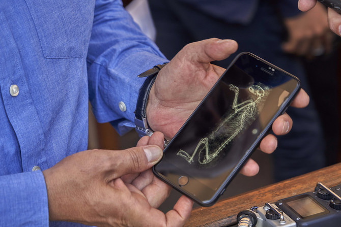 Dr. Waziri shows ambassadors an image of CT-scan in Saqqara, south Giza, Egypt on Nov. 23, 2019. The CT-scan revealed that the mummies for 95 percent belong to lion cubs according to the size and shape of the bones of the mummies. (AP)