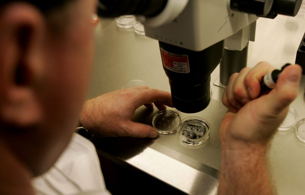 Japan will drastically expand its clinical study on genetic screenings of fertilized eggs to newly cover several thousand women. (File photo/AFP)