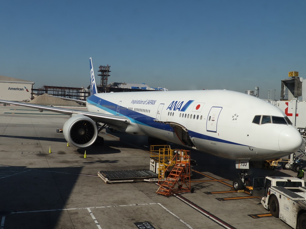 An ANA flight attendant drank “shochu” spirits at a restaurant in Fukuoka on Thursday night in violation of the airline's rules for crew members. (AFP/file)