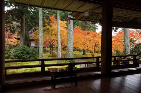 Autumn in japan