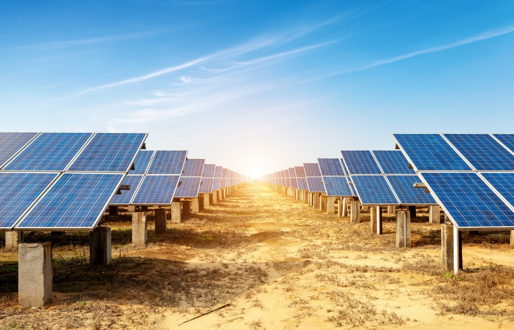 Solar panels of a new solar power plant. (Shutterstock)