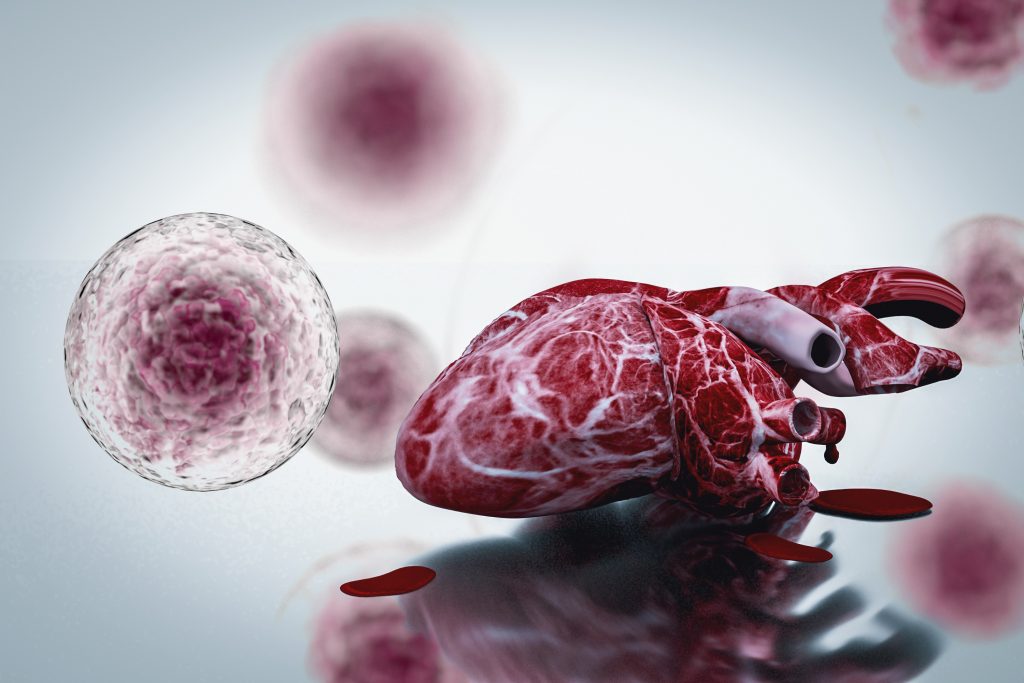 Stem cells (L) and human heart (R). (Shutterstock)