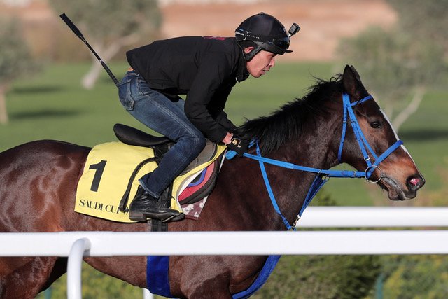 Japanese runner Deirdre has settled in well on her latest adventure (Credit: Laura Green/Jockey Club of Saudi Arabia/Mahmoud Khaled)