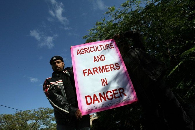 The Palestinian agricultural sector has suffered from Israeli blockades and restrictions on border trade crossings over the year. (AFP file photo)