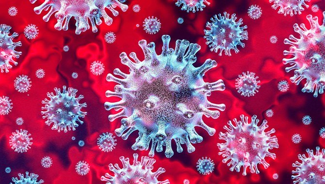 First case of coronavirus confirmed in Egypt｜Arab News Japan