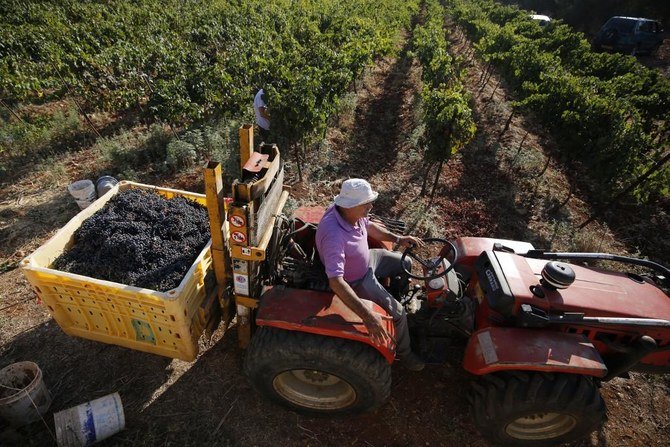 Last weekend Israeli Defense Minister Naftali Bennett said he would halt all PA agricultural imports. (File/AFP)