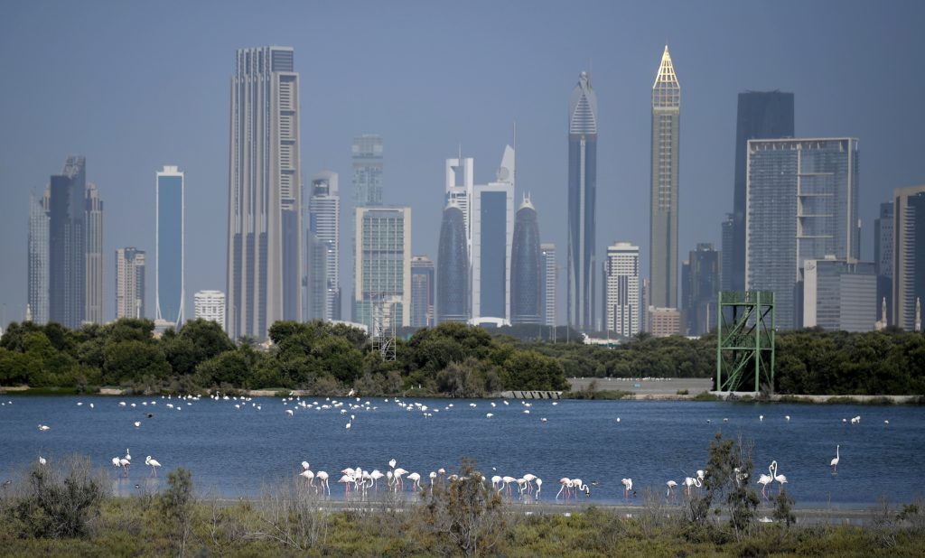 The UAE health ministry announced on Friday its first two deaths from coronavirus. (AFP)
