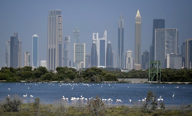 Pink flamingoes feed in the mud flats at the Ras al-Khor Wildlife Sanctuary in Dubai, with the city skyline seen in the background, on March 18, 2020 as the site has been closed to the public amidst the coronavirus COVID-19 pandemic. (File/AFP)