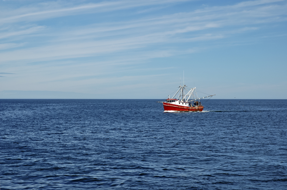 13 Japanese and two Indonesian crew members were on the fishing boat. (Shutterstock)