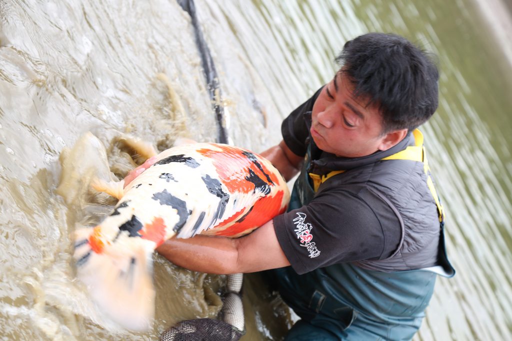 The founder of Koi Water Barn Dubai said the center was a “hidden gem.” (Supplied)