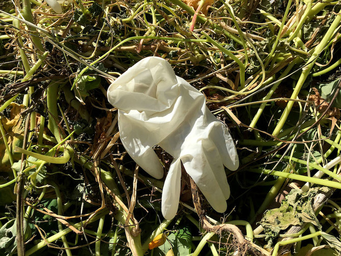 A protective glove is seen discarded in grass in the Lebanese capital Beirut on April 8, 2020. (AFP)