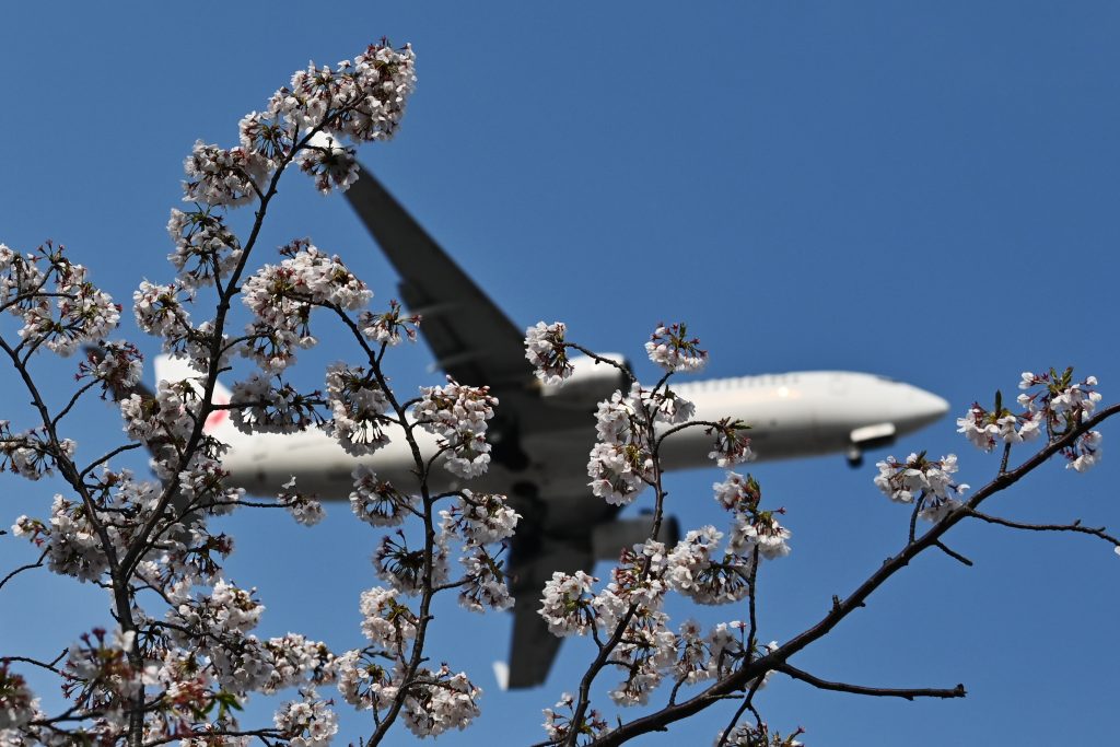 Japanese transport minister announced a new tourism promotion program will begin on July 22. (AFP). 