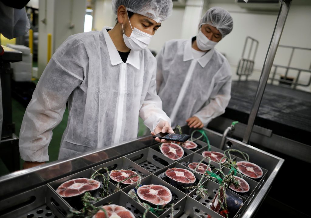 Shingo Ishii, a tuna buyer at Misaki Megumi Suisan Co., demonstrates using Tuna Scope. (File photo/ Reuters)