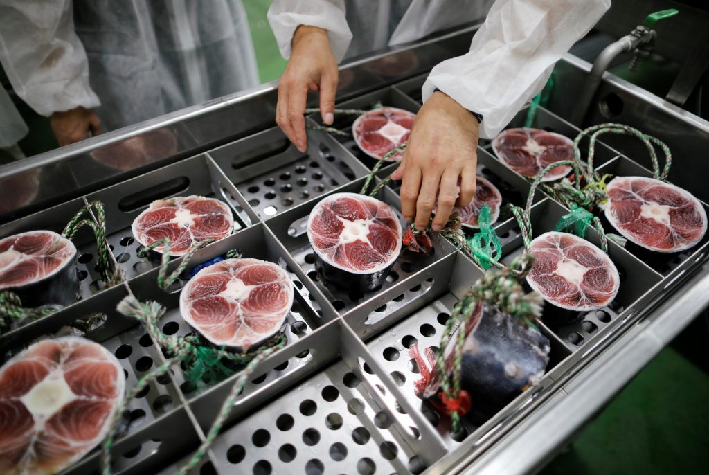 Shingo Ishii, a tuna buyer at Misaki Megumi Suisan Co., demonstrates using Tuna Scope. (File photo/ Reuters)