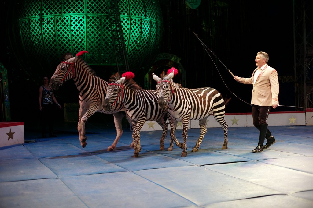 Kinoshita Circus, established in 1902, performs at four or five locations a year using a large red tent and circus animals. (Ryusei Takahashi)