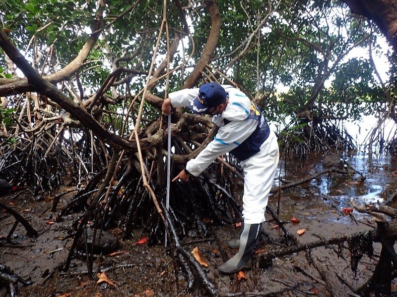 JICA have dispatched two Japan Disaster Relief expert teams to deal with a fuel oil spill off Mauritius from a cargo carrier chartered by Japanese shipping company. (JICA/Facebook)