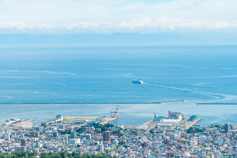 Two Russian nuclear-capable bombers flew over the Sea of Japan and the Pacific. (Shutterstock)