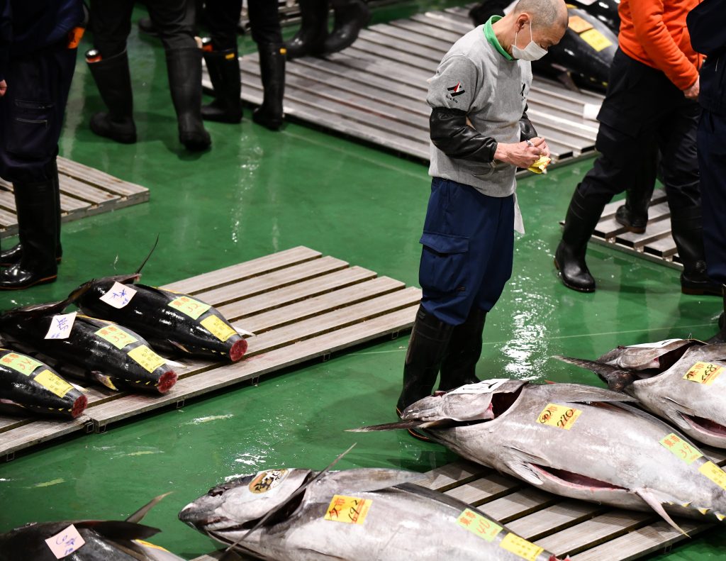Japan has proposed raising its catch quotas for Pacific bluefin tuna. (AFP)