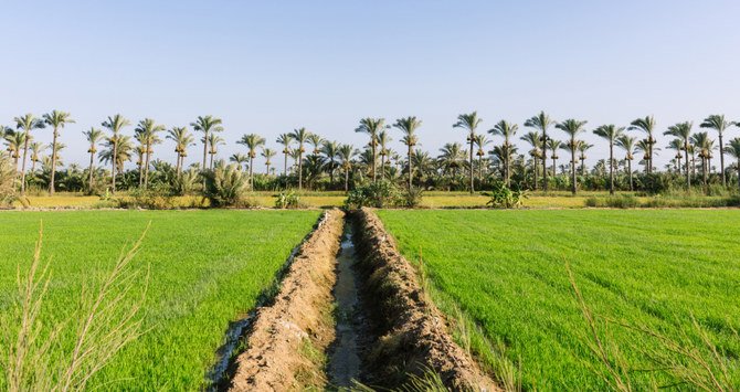 The ministry is also focused on removing all waste from canals to ensure there are no obstacles to hinder the flow of the water. (Shutterstock)