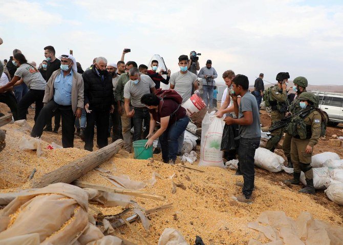 Members of a Beduin community in the West Bank try to salvage some scattered cereal on November 6, 2020. (AFP)