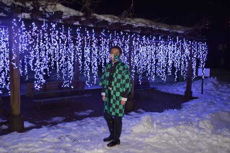 The wisteria trellis will be lit up with 8,000 LEDs until March 31 next year. (JIJI Press)