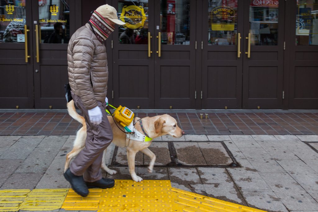 There is currently no public support for such dogs, according to the Japan Service Dog Association. 