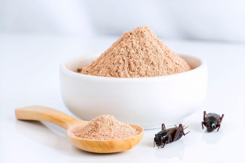 Edible crickets are attracting worldwide attention as a new source of environmentally friendly nutrition. (Shutterstock)