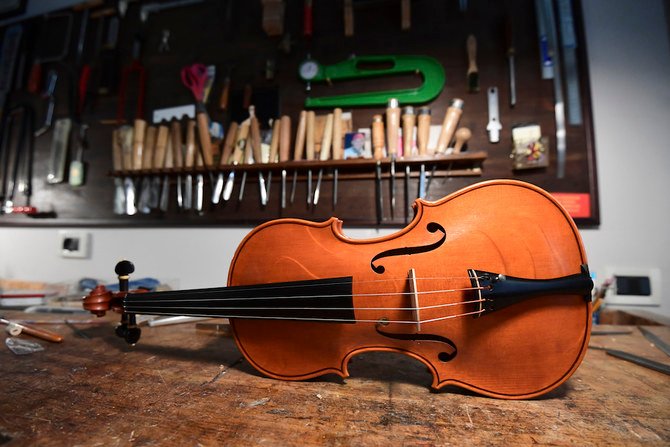 A violin in the making by French luthier Benedicte Friedmann is pictured at her workshop in Cremona on June 9, 2020. Stradivarius' homeland, the Italian city of Cremona, has become a laboratory for luthiers from all over the world. (AFP/File Photo)