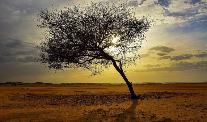 The Bedouin, with their rich social traditions and desert survival skills, are a major attraction for visitors. (SPA)