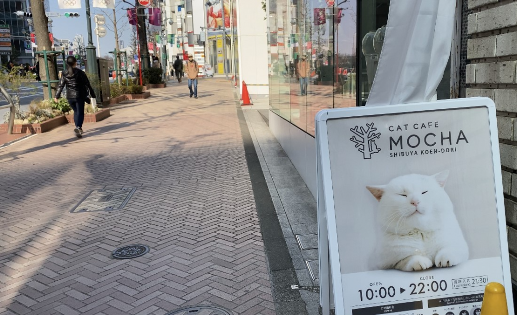 Cat Café “Mocha Lounge,” in Shibuya, one of Tokyo’s most trendy parts, attracts remote workers with their laptops who enjoy petting cats and giving them treats.
