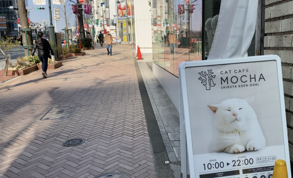 Cat Café “Mocha Lounge,” in Shibuya, one of Tokyo’s most trendy parts, attracts remote workers with their laptops who enjoy petting cats and giving them treats. 