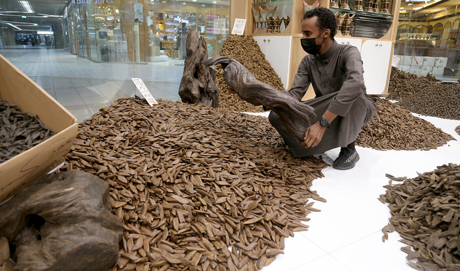 Oud is extracted during winter from trees aged between 70 and 150 years and growing up to 20 meters in height. (AN photo by Saad Al-Dossary)