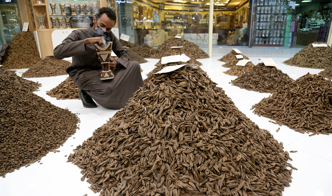 Oud is extracted during winter from trees aged between 70 and 150 years and growing up to 20 meters in height. (AN photo by Saad Al-Dossary)
