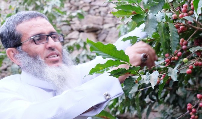 Saudi farmer Jobran Alkhaldi's farm produced the first Saudi speciality micro lot coffee. (Supplied)