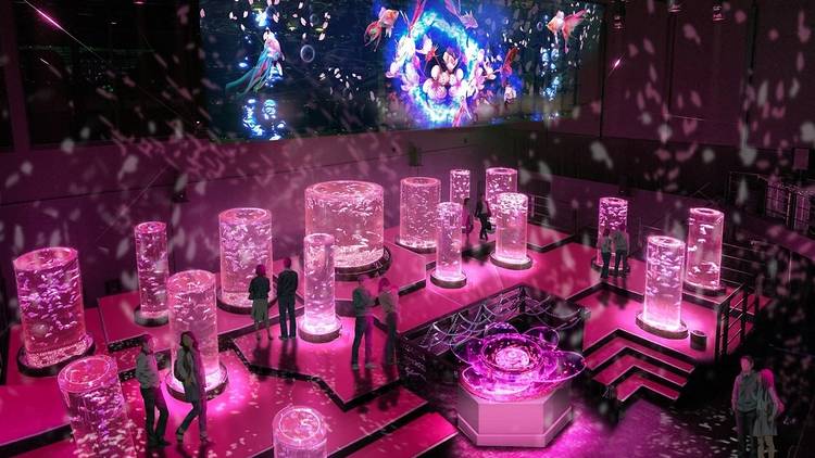 The exhibition is a light show featuring fish in various tanks of different shapes, as well as elements symbolic of the Sakura season that will be on show from March 6 to May 9.  (The Art Aquarium) 