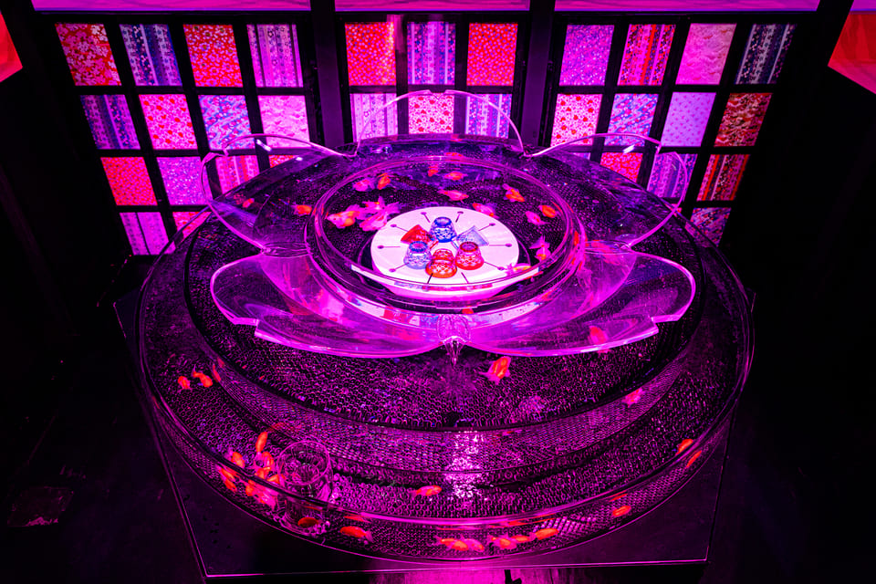 The exhibition is a light show featuring fish in various tanks of different shapes, as well as elements symbolic of the Sakura season that will be on show from March 6 to May 9.  (The Art Aquarium) 