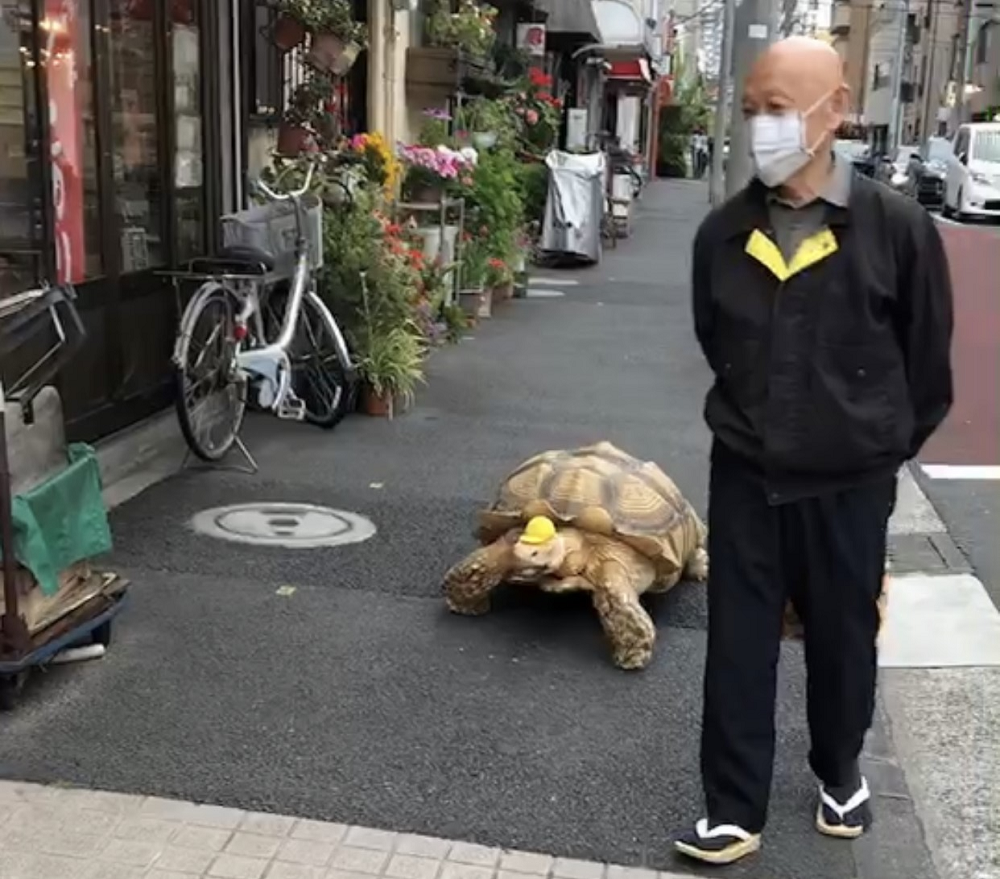 Mitani is seen taking a walk with Bon-chan. (ANJ photo)