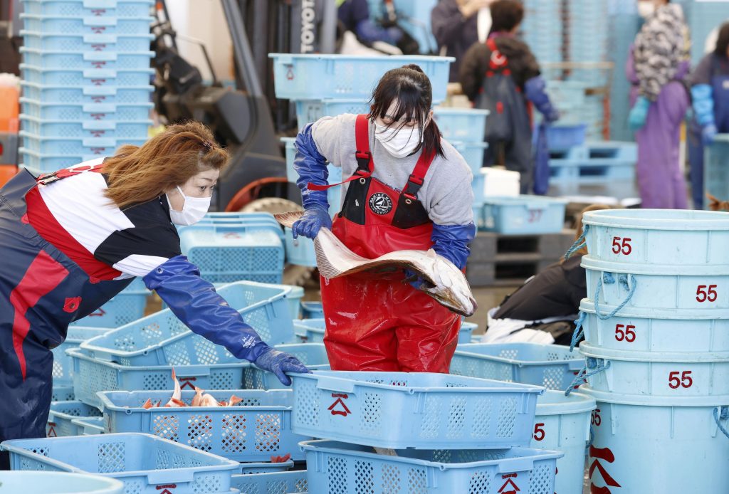 Workers sort fishes after a fishing operation at Matsukawaura fishing port in Soma, Fukushima prefecture, Japan April 12, 2021. (AFP)