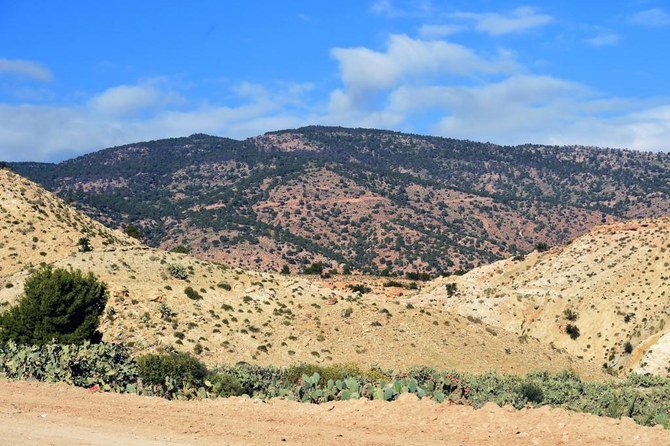 Picture taken on Dec. 15, 2015 shows Mount Mghilla's mountains located between Kasserine (some 360 kilometres south of Tunis) and the central Tunisian town of Sidi Bouzid. (File/AFP)