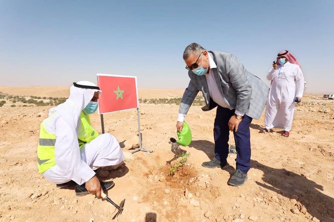 The campaign focused on planting native tree species which have adapted to Saudi Arabia’s environment and require limited irrigation. (Supplied)