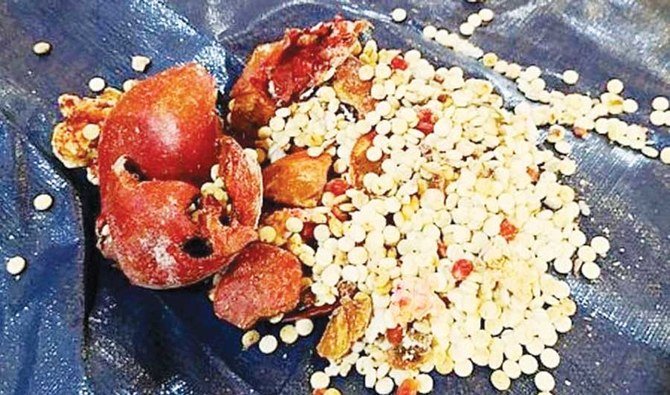 Saudi Arabia banned the import of agricultural products from Lebanon after authorities seized a narcotic-stuffed pomegranate shipment in Dammam. (Supplied)
