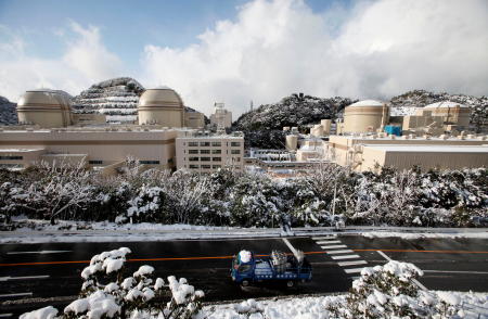 Kansai Electric Power Co's Ohi nuclear power plant reactors are seen in Ohi, Fukui prefecture, January 26, 2012. (Reuters)