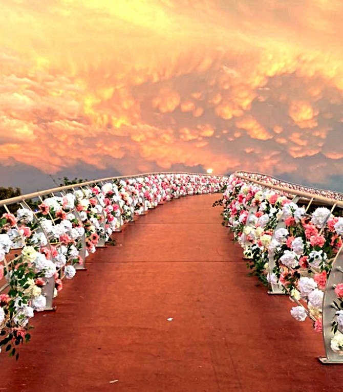 Mesmerized by the fragrance and the pink scenery around him, the envoy walked the roses’ stairway in the festival covered in roses from both sides, describing it as a ‘stairway to heaven.’ (Supplied)