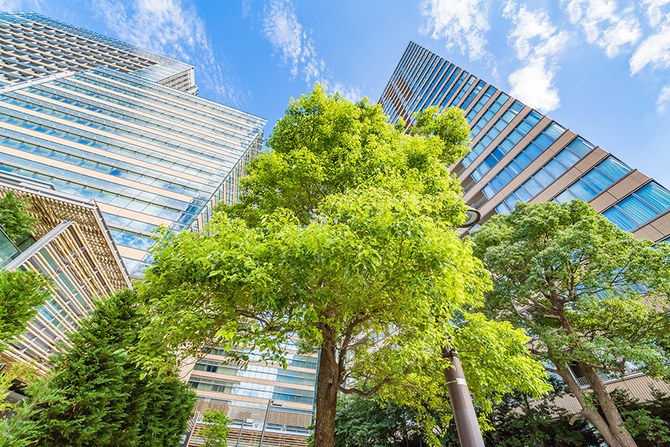 The Saudi Green Building Forum is a nonprofit organization that works towards realizing the ambitions of Saudi Arabia and the wider Arab world in sustainable development. (Shutterstock)
