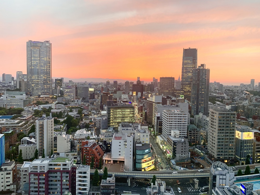 Tokyo city. (ANJ/Zanobia Azhari)
