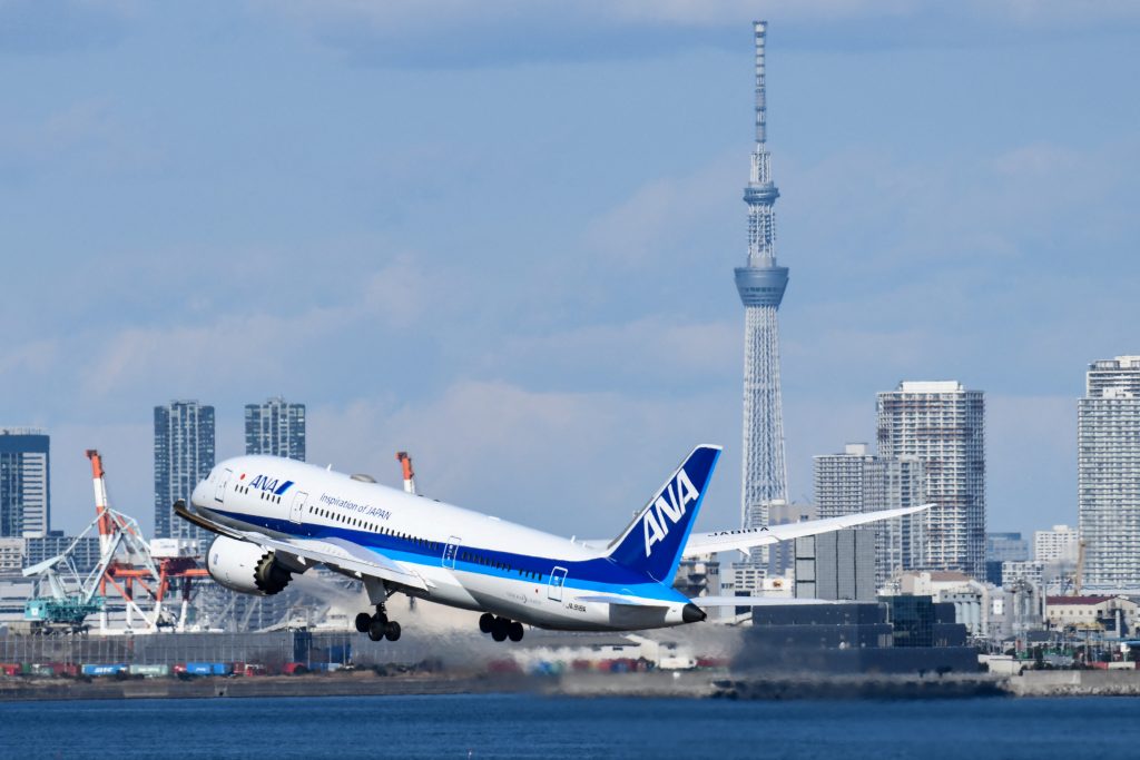 The fuel was mixed with traditional jet fuel and used to fuel scheduled ANA and JAL flights in June. (AFP)