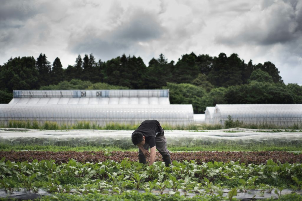 The ministry hopes to spread organic farming and environmentally friendly agricultural technologies to realize sustainable agriculture through regional cooperation among producers, local retailers and researchers led by local governments. (AFP)