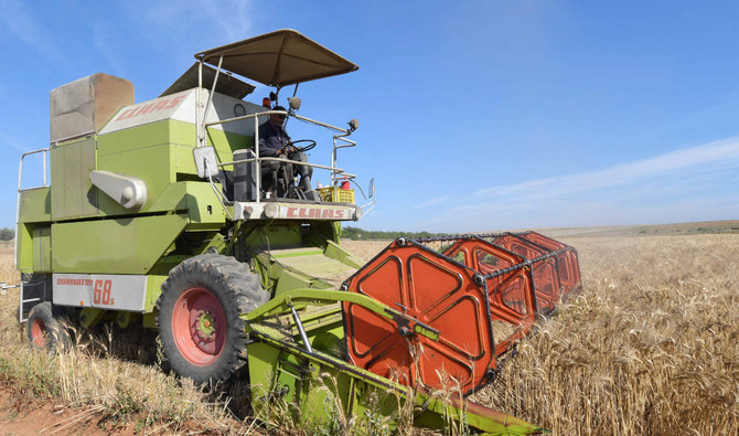 A Tunisian farmer harvests wheat, on June 12, 2021, in the agricultural region of Jedaida, some 30 kilometres (18 miles) northwest of the capital Tunis. (AFP)